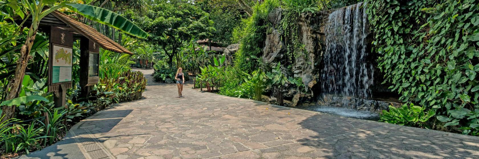 Singapore Botanic Gardens